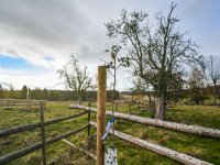 Agroforestry improvements in Amalie
