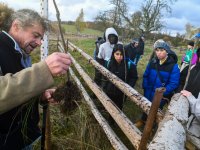 Agroforestry improvements in Amalie